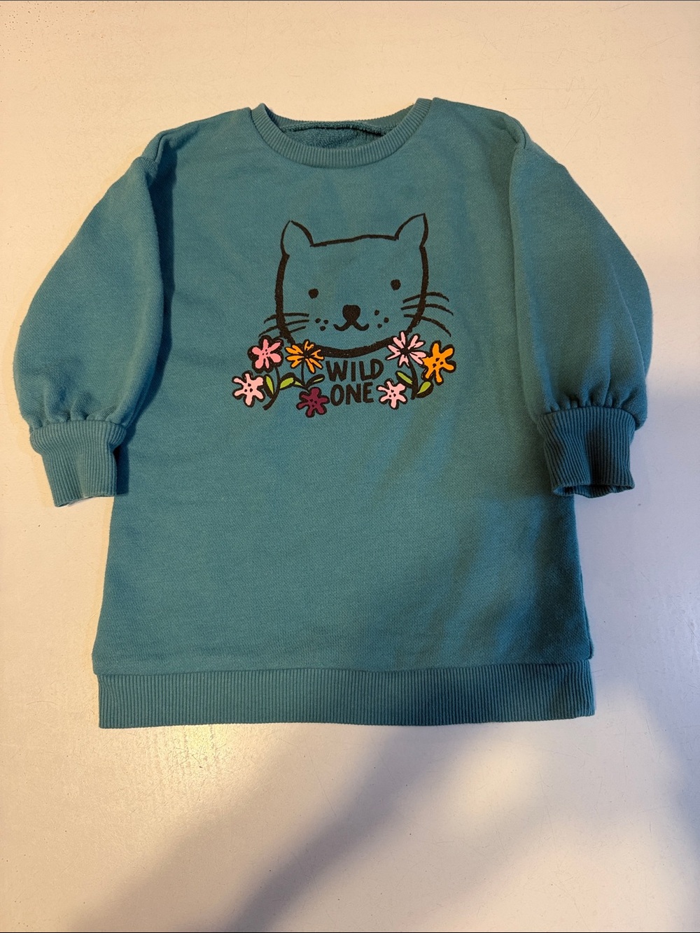 Okie Dokie Wild One Teal Kids Sweatshirt Top